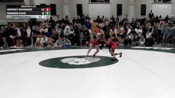 113 lbs Quarterfinal - Anthony BoJorquez, New Bedford vs Kennedie Davis, Bridgewater-Raynham