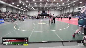 215 lbs Round 1 (3 Team) - Ethan Gallo, Minisink Valley vs Nathan Brauning, Fox Lane