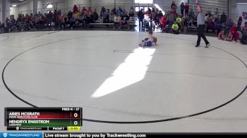 27 lbs Quarterfinal - Hendryx Engstrom, Lakeview vs Aries McGrath, Pride Wrestling Club