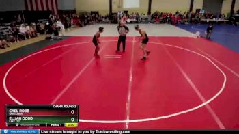 132 lbs Champ. Round 2 - Elijah Dodd, Lake City vs Cael Robb, Owatonna