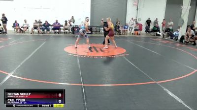 165 lbs Round 3 (8 Team) - Destan Skelly, Minnesota Blue vs Cael Tyler, Michigan Blue