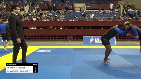 Will Rene Randolph vs Michael Andrew Talamantez 2024 Pan IBJJF Jiu-Jitsu No-Gi Championship