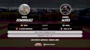 Roger Dominguez vs GABRIEL Alves 2025 ADCC South American Championship
