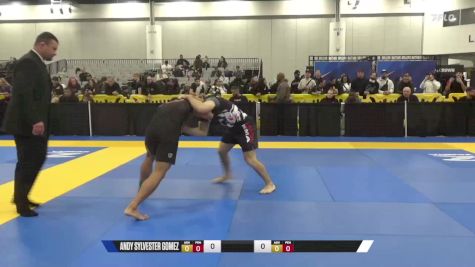 Mayis Nersesyan vs Andy Sylvester Gomez 2024 World IBJJF Jiu-Jitsu No-Gi Championship