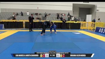 Brianna Eileen Morsa vs Lina Marcela Landeta Chavarría 2026 World Master IBJJF Jiu-Jitsu Championship