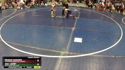48 lbs Champ. Round 1 - Keagan Sanchez, Sanderson Wrestling Academy vs Kolt Ashby, Delta Wrestling Club