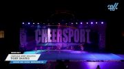 Carolina Spirit Athletics - Tiger Sharks [2024 L1 Mini - Novice - Restrictions - D2 Day 1] 2024 CHEERSPORT Concord Spring Classic