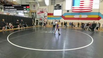 120 lbs Quarterfinal - Cole Anderson, Cheyenne East vs Dylan Brink, Campbell County