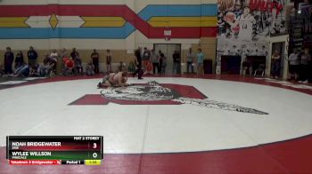 132 lbs Semifinal - Wylee Willson, Pinedale vs Noah Bridgewater, Erie