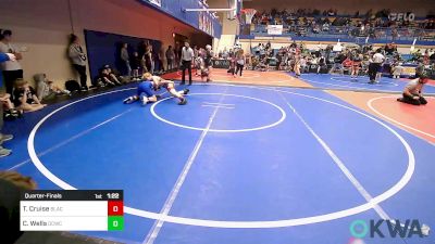 105 lbs Quarterfinal - Tate Cruise, Black Fox Wrestling Club vs Cole Wells, Dark Cloud Wrestling Club