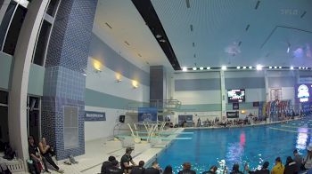 Replay: Diving - 2024 GLIAC Swimming & Diving Championships | Feb 10 @ 6 PM