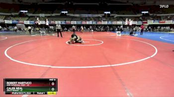 175 lbs Placement (16 Team) - Robert Martucci, Erie Cathedral Prep vs Caleb Neal, Great Bridge