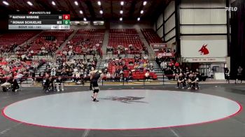141 lbs Quarterfinal - Nathan Wishne, Drury vs Ronan Schuelke, McKendree