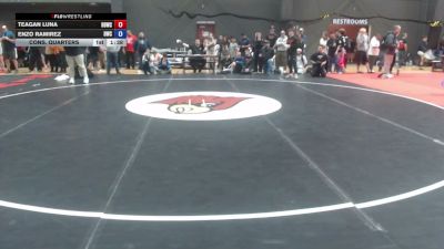 113 lbs Cons. Quarters - Teagan Luna, Beaver Dam Wrestling Club vs Enzo Ramirez, Delta Wrestling Club