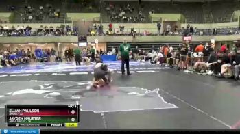 132 lbs Round 2 (4 Team) - Jayden Haueter, Apple Valley vs Elijah Paulson, Anoka
