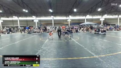 45 lbs Round 3 (4 Team) - Lukas William, Middleton Wrestling Club vs Hope Senescall, Big Cat Wrestling