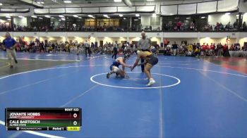 174 lbs Quarterfinal - Cale Bartosch, Alfred State vs Jovante Hobbs, Averett University