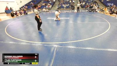 133 lbs 1st Place Match - Dominik Mallinder, Wisconsin-Whitewater vs Tyler Fleetwood, Wisconsin-Eau Claire