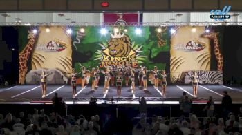 CheerVille HV - Venom [2024 L5 Senior Coed Day 1] 2024 ASC King of the Jungle Nashville Showdown