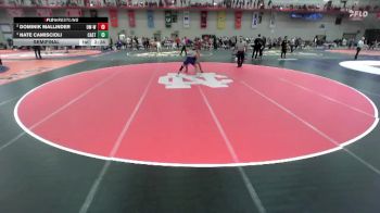 149 lbs Semifinal - Nate Camiscioli, Castleton vs Dominik Mallinder, Wisconsin-Whitewater