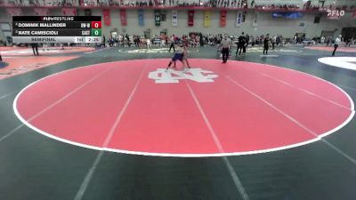 149 lbs Semifinal - Nate Camiscioli, Castleton vs Dominik Mallinder, Wisconsin-Whitewater
