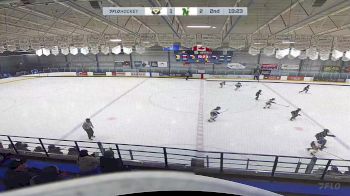 Replay: Home - 2025 CRAA Gold U13 vs CNHA Black U13 | Feb 8 @ 12 PM