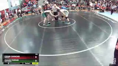 165 lbs Semifinal - Cesar Camacho, Rancho vs Mason Farrar, Palo Verde