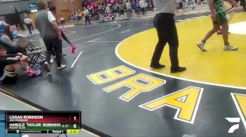 133 lbs Semifinal - Logan Robinson, UNC Pembroke vs Harold `Taylor` Robinson, Mount Olive