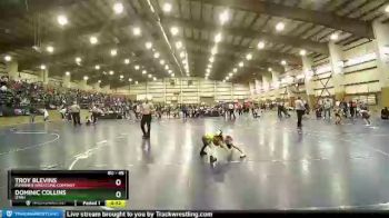 45 lbs 1st Place Match - Troy Blevins, Punisher Wrestling Company vs Dominic Collins, Utah