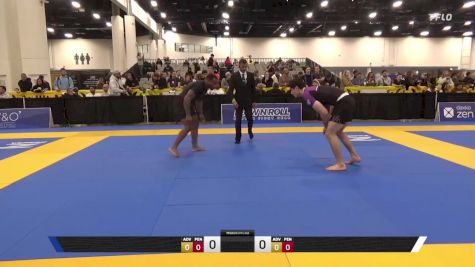 Giulio Michael La Fauci vs Shawn Success 2025 World IBJJF Jiu-Jitsu No-Gi Championship