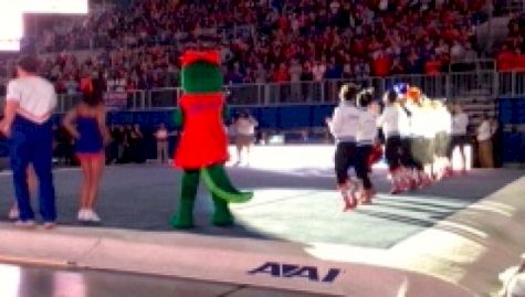 Mackenzie Caquatto's Perfection