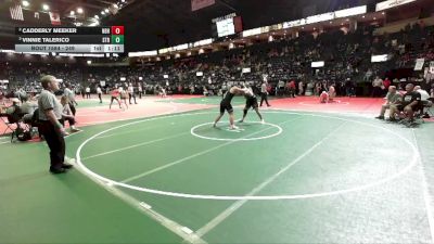249 lbs Semifinal - Vinnie Talerico, STR1 vs Cadderly Meeker, NBHA