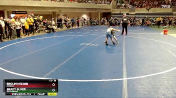 61 lbs Quarterfinal - Brady Buker, Hutchinson vs Brolin Nelson, Waseca