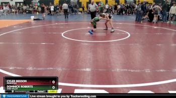 85 lbs Quarterfinal - Cyler Beeson, Middleton vs Dominick Roberts, Sage Valley