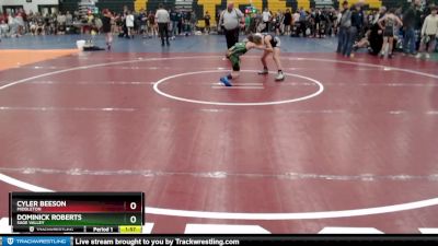 85 lbs Quarterfinal - Cyler Beeson, Middleton vs Dominick Roberts, Sage Valley