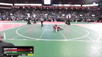 142 lbs Cons. Round 4 - Katelyn Norris, BWW1 vs McKayla Herda, MEN1