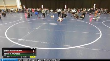 112 lbs Champ. Round 3 - Angelina Cassioppi, IL vs Miyah R. Palacios, AZ
