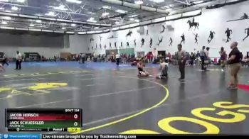 149 lbs Cons. Round 3 - Jack Schuessler, Macomb CC vs Jacob Horsch, Heidelberg