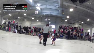 35 lbs Quarterfinal - Brecken Wells, Battle Creek vs Connor Crosley, League Of Heroes