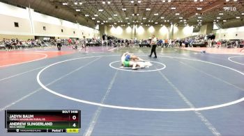 175B Cons. Round 2 - Jadyn Baum, Topeka-Washburn Rural HS vs Andrew Slingerland, Rock Bridge