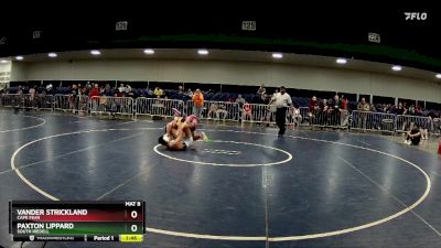 132 lbs Consolation Bracket - Paxton Lippard, South Iredell vs Vander Strickland, Cape Fear