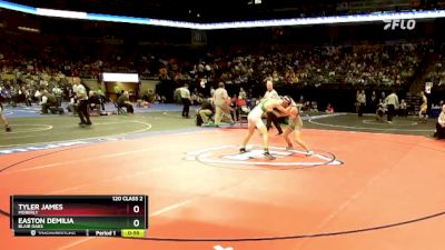 120 Class 2 lbs Cons. Semi - Easton DeMilia, Blair Oaks vs Tyler James, Moberly