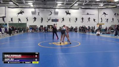 170 lbs Cons. Round 2 - Sadie Hill, North Central College vs Emely Rodriguez, New Jersey City University