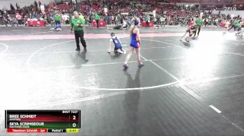 95 lbs Cons. Round 5 - Skya Scrimgeour, Southern Door vs Bree Schmidt, Aviators