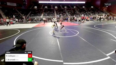 62 lbs Quarterfinal - Madilynn Gallegos, Elevated Yetis vs Tucker Brumwell, Heights WC