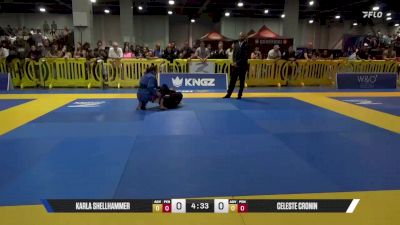Karla Shellhammer vs Celeste Cronin 2025 American National IBJJF Jiu-Jitsu Open Championship