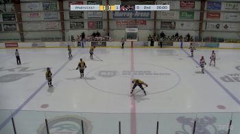 Replay: Home - 2025 Bruins U18 AAA vs Cougars U18 AAA | Feb 15 @ 7 PM