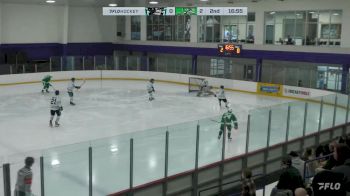 Replay: Home - 2024 Royals vs Totems | Nov 10 @ 12 PM