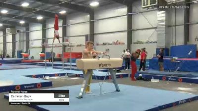 Cameron Bock - Pommel Horse, University of Michigan - 2021 April Men's Senior National Team Camp