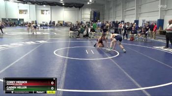 133 lbs Quarterfinal - Corey Messick, Roanoke College vs Caiden Heller, Messiah